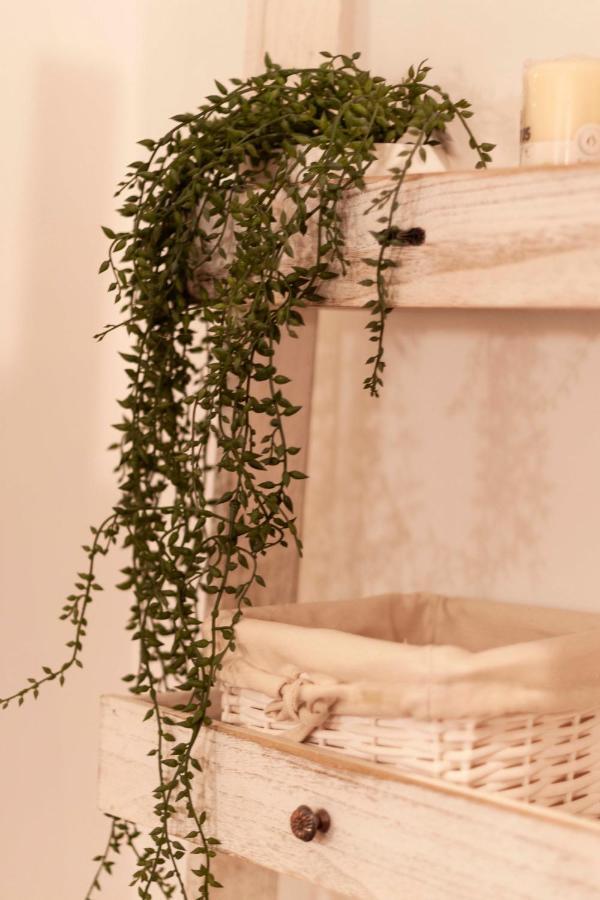 Sant'Arpino 26 - Elegant Flats In Naples Apartment ภายนอก รูปภาพ